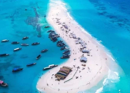 Safari Blue Zanzibar – Everything You Need to Know Before You Go