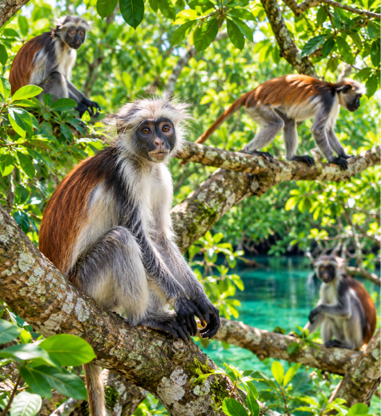 28